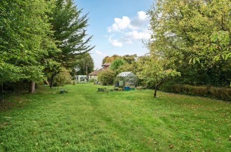 1358994-3-68d65e8...