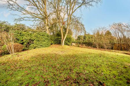 1406338-1-6985dcc...