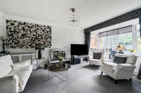 1516972 (21).jpg