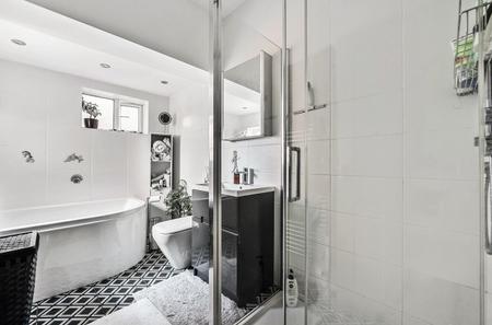 1524586  (12).jpg