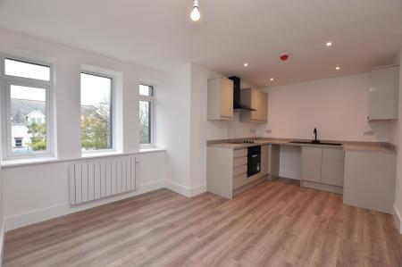 Open Plan Lounge/Diner/Kitchen