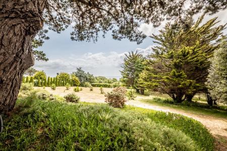 Northview Road, Budleigh Salterton, EX9