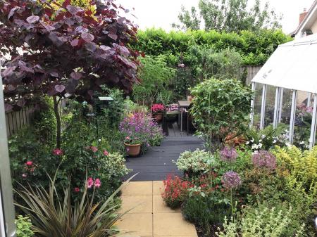 Photo Taken Summer 2