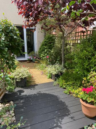 Photo Taken Summer 2