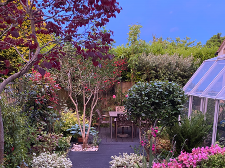 Sunset Photo Taken S