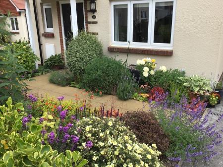 Photo Taken Summer 2