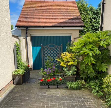 Photo Taken Summer 2