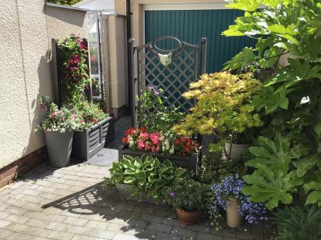 Photo Taken Summer 2