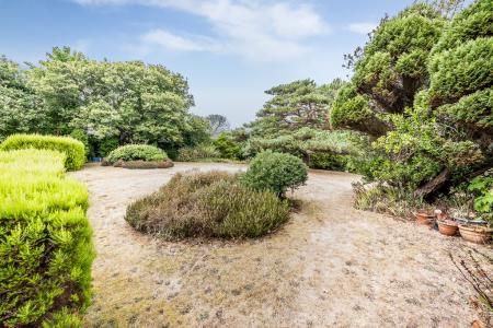 Northview Road, Budleigh Salterton, EX9