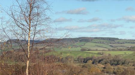 Bridge Road, Budleigh Salterton, EX9