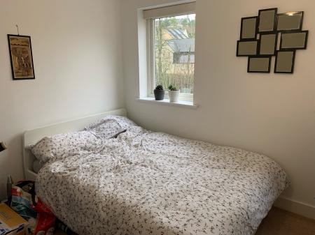 Photo 06