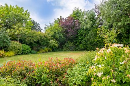 Wolfson House - Lo Res-36.jpg