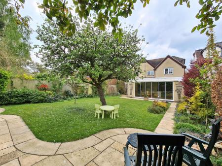 Back of Brochure 1.jpg