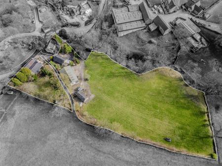 20250319-DJI_0124-Enhanced-SR - Copy (2).jpg