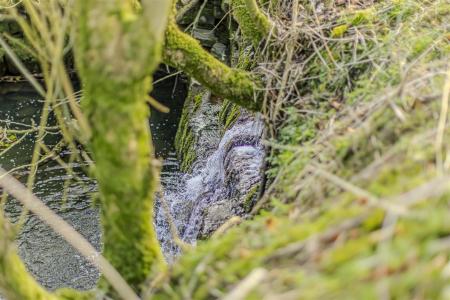 Denise White Estate Agents Comments