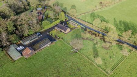 Denise White's Comments