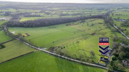 20240223-DJI_0303-Enhanced-SR - Copy.jpg