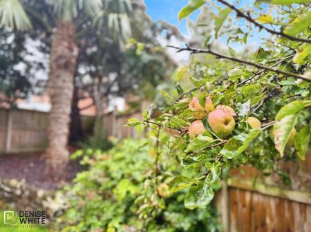 e26ffaa1-WhatsApp 20Image 202025-10-06 20at 2011.0