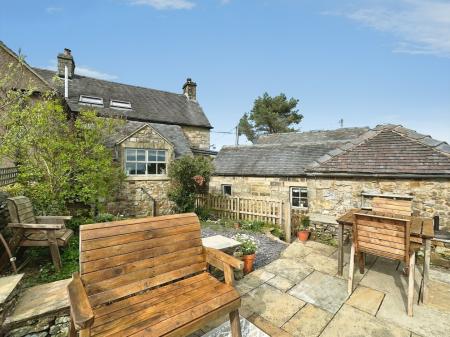 Rear Aspect