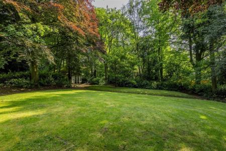 Communal Grounds