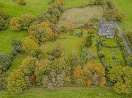 Denise White Estate Agents Comments