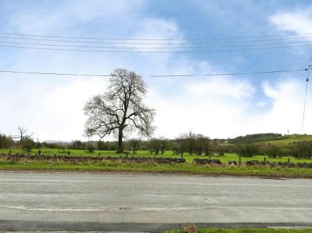 View to the Front Aspect