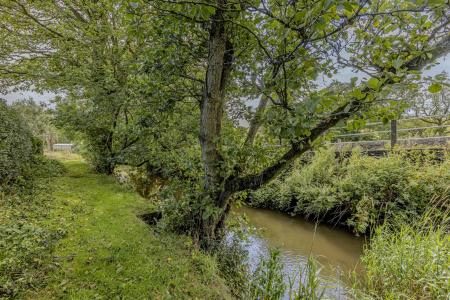 'River Hamps'