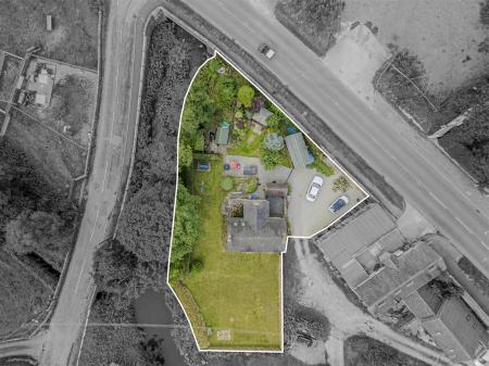 Denise White Agent Comments