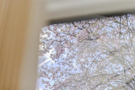 Outlook