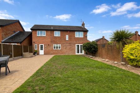 Rear Aspect