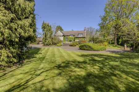 The Property