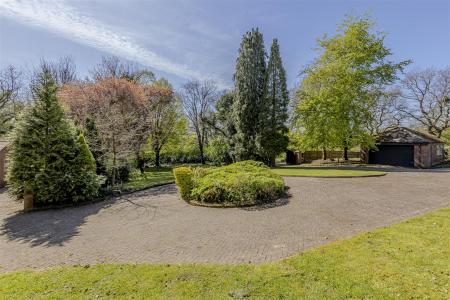 Driveway