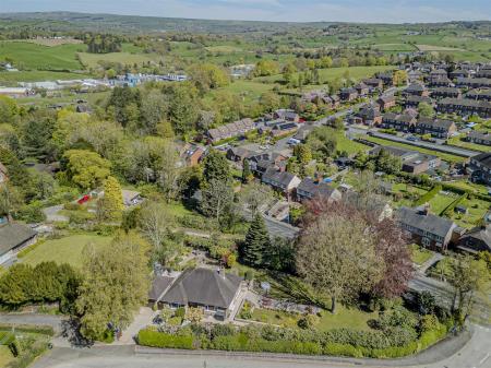 Aerial Image