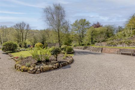 Driveway and Gardens