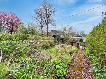 2- Front Garden