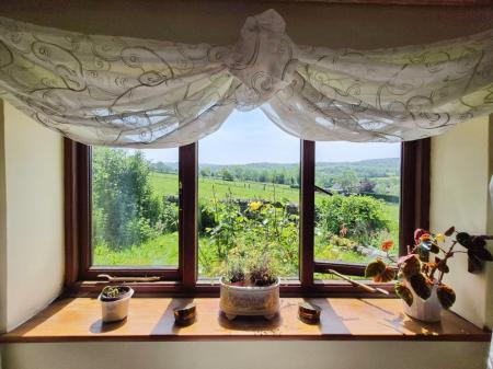 Lounge View