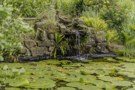 Pond
