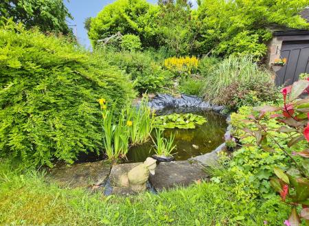 Pond