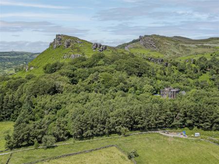 The Roaches