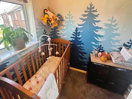 Bedroom Three (Cot Room)