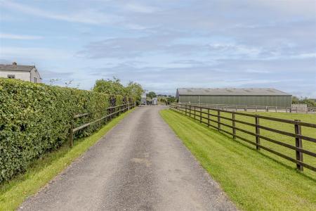 Driveway