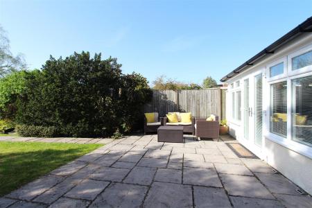 IMG_0997.JPG
