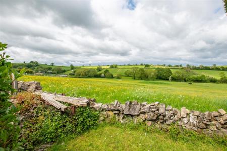 DSC_7596.jpg