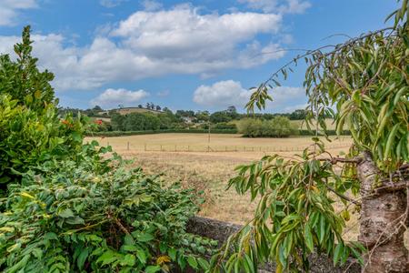 DSC_0938-Edit.jpg