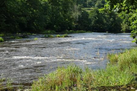 Nyth Ferry & Jack Du