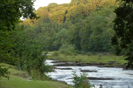 Nyth View (Downstrea