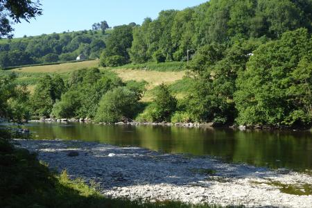 Nyth Gravels Trout &