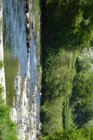 View Upstream from D