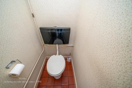 Webbs-18.JPG