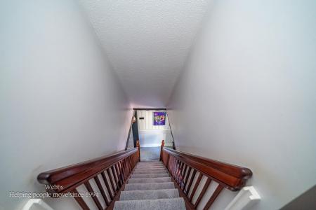Webbs-25.JPG